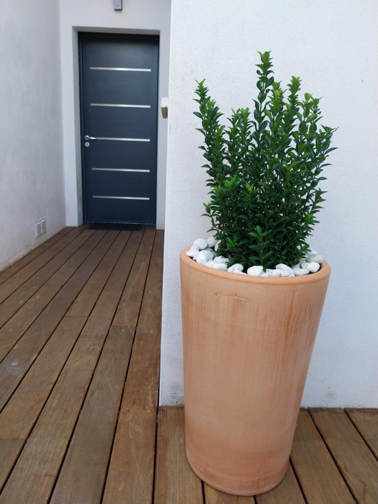 Studio Cocon Enea Bidart, Terrasse Et Parking ภายนอก รูปภาพ